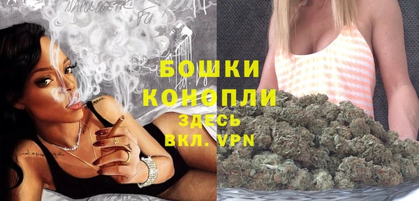 герыч Ельня