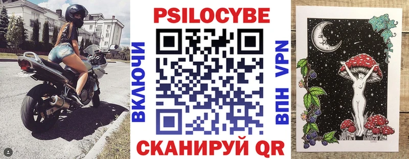 Псилоцибиновые грибы Psilocybe  Купить  Талица 